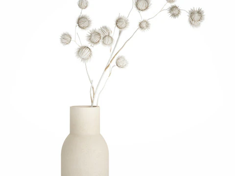 Bouquet Dried Flowers From White Branches Thistle 549 3D Model