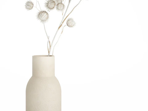 Bouquet Dried Flowers From White Branches Thistle 549 3D Model
