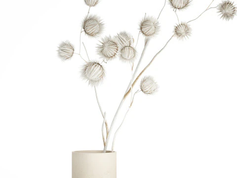 Bouquet Dried Flowers From White Branches Thistle 549 3D Model