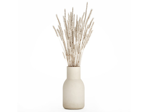 White bouquet dried flowers branches pampas 550 Model 3D