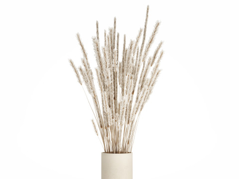 White bouquet dried flowers branches pampas 550 Modelo 3D