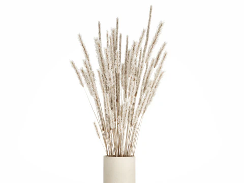 Buqu&ecirc; branco flores secas ramos pampas 550 Modelo 3D