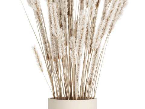 White bouquet dried flowers branches pampas 550 Modelo 3D