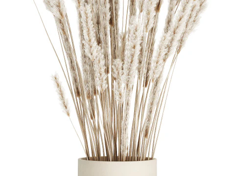 Buqu&ecirc; branco flores secas ramos pampas 550 Modelo 3D