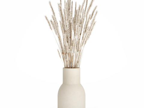 White bouquet dried flowers branches pampas 550 Modelo 3D