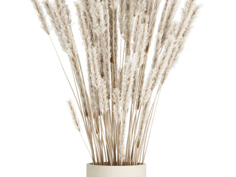 Buqu&ecirc; branco flores secas ramos pampas 550 Modelo 3D