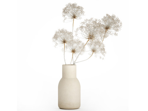 Bouquet dried flowers branches Heracleum hogweed 551 Model 3D