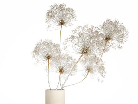 Bouquet dried flowers branches Heracleum hogweed 551 3D 模型