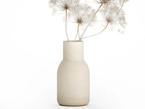 Bouquet dried flowers branches Heracleum hogweed 551 3D Model