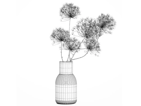 Bouquet dried flowers branches Heracleum hogweed 551 3D Model
