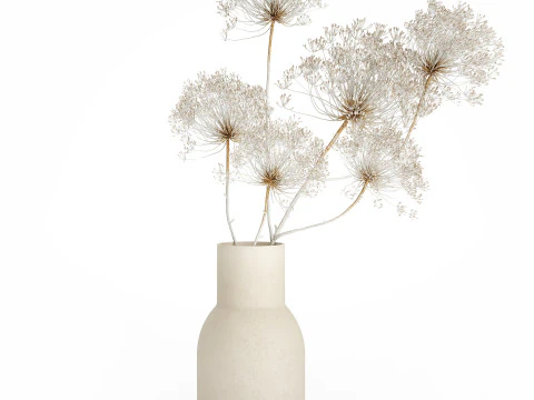 Bouquet dried flowers branches Heracleum hogweed 551 3D Model