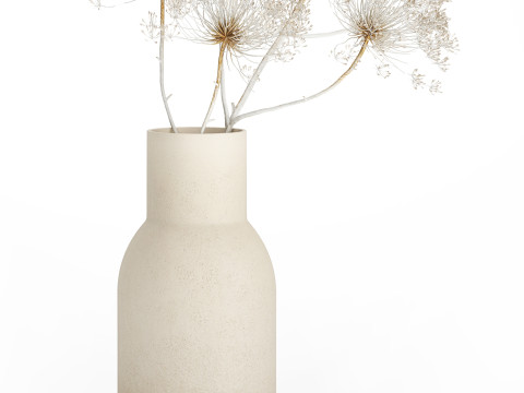 Bouquet dried flowers branches Heracleum hogweed 551 3D 模型
