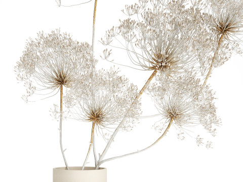 Bouquet dried flowers branches Heracleum hogweed 551 3D 模型