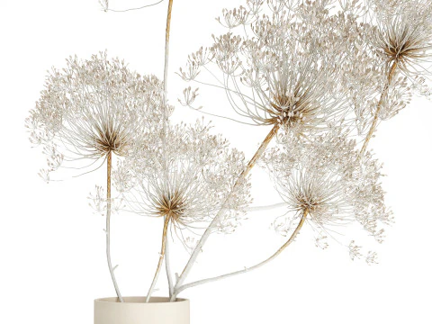 Bouquet dried flowers branches Heracleum hogweed 551 3D Model