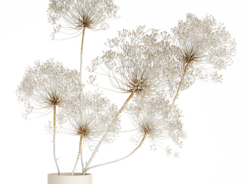 Bouquet dried flowers branches Heracleum hogweed 551 3D 模型
