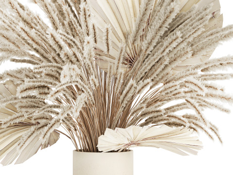 Bouquet Dried Flowers White Pampas Branches Palm 552 3D Model