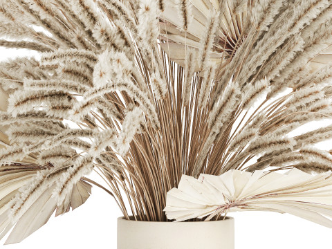 Bouquet Dried Flowers White Pampas Branches Palm 552 3D Model