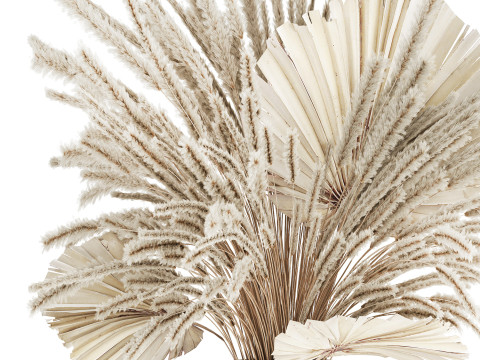 Bouquet Dried Flowers White Pampas Branches Palm 552 3D Model