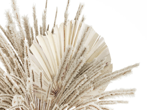 Bouquet Dried Flowers White Pampas Branches Palm 552 3D Model
