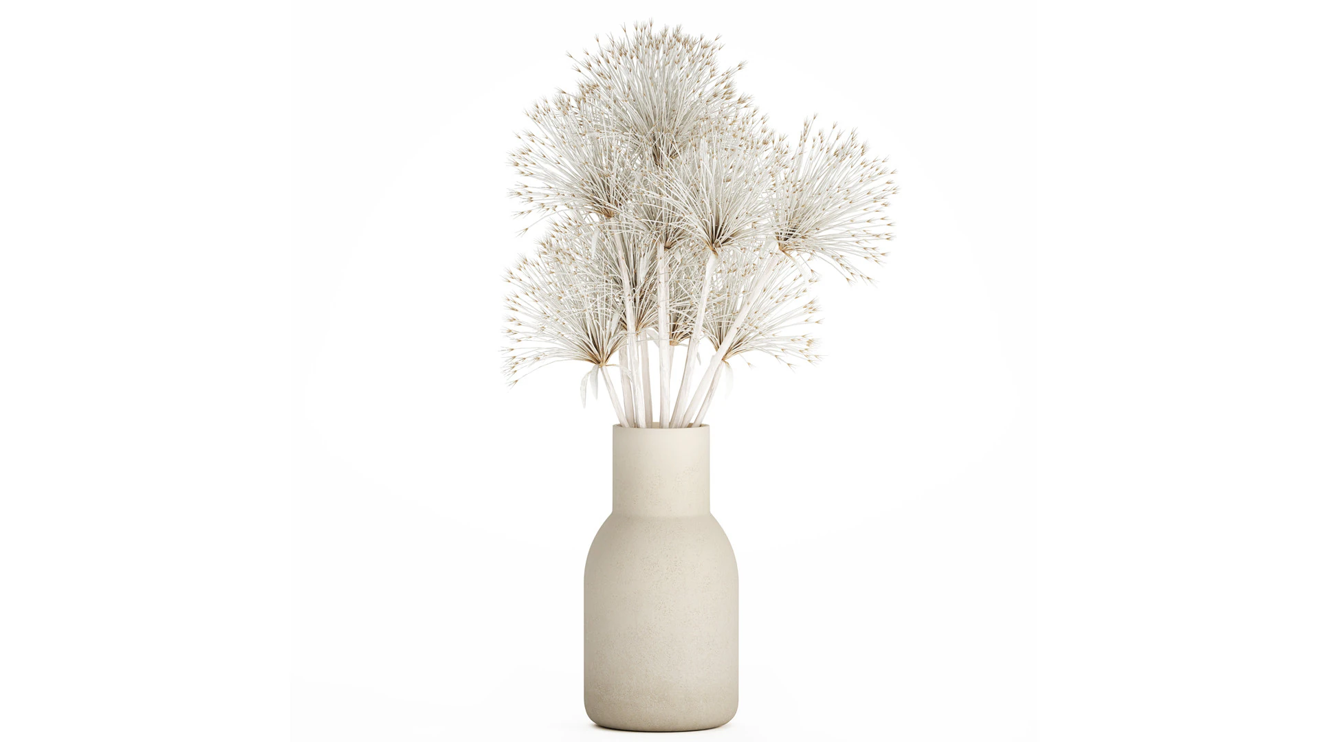 Bouquet Dried Flowers White Branches Hogweed Vase 553 3D Model .c4d .max .obj .3ds .fbx .stl .blend