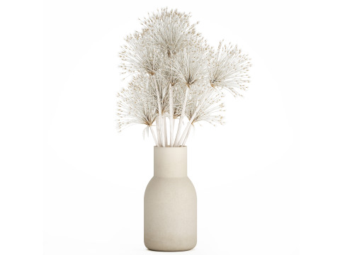 Bouquet Dried Flowers White Branches Hogweed Vase 553 Modèle 3D