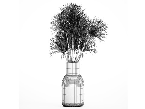 Bouquet Dried Flowers White Branches Hogweed Vase 553 3D Model