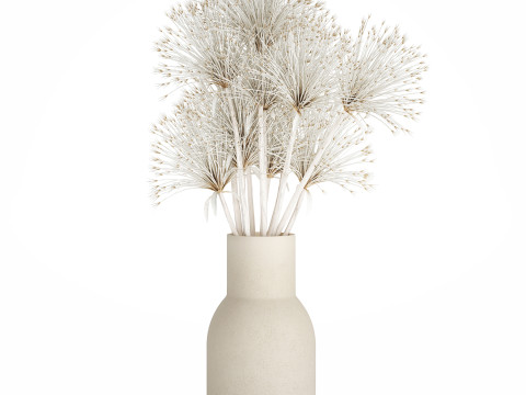 Bouquet Dried Flowers White Branches Hogweed Vase 553 3D Model