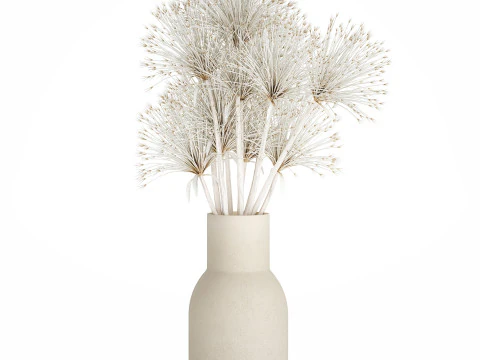 Bouquet Dried Flowers White Branches Hogweed Vase 553 3D Model