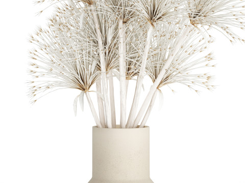 Bouquet Dried Flowers White Branches Hogweed Vase 553 3D Model