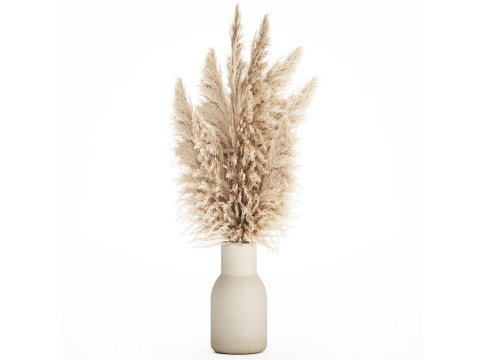 Bouquet Dried Flowers Branches Cortaderia Pampas vase 554 Modèle 3D