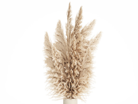 Bouquet Dried Flowers Branches Cortaderia Pampas vase 554 Modelo 3D