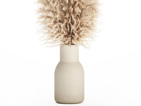 Bouquet Dried Flowers Branches Cortaderia Pampas vase 554 Modelo 3D