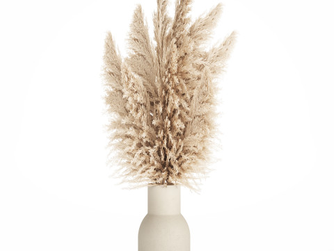 Bouquet Dried Flowers Branches Cortaderia Pampas vase 554 Modelo 3D