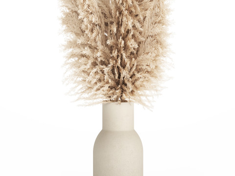 Bouquet Dried Flowers Branches Cortaderia Pampas vase 554 Modelo 3D