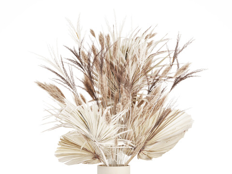 Bouquet Dried Flowers From White Pampas Branches vase 555 Modelo 3D