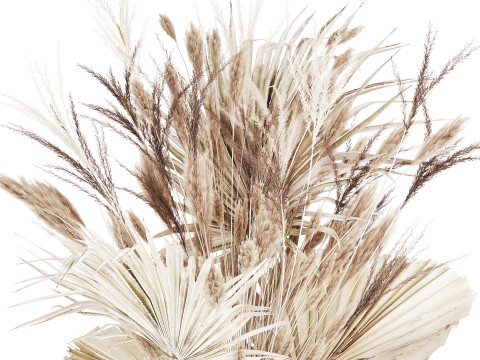 Bouquet Dried Flowers From White Pampas Branches vase 555 Modelo 3D