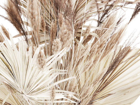 Bouquet Dried Flowers From White Pampas Branches vase 555 Modelo 3D