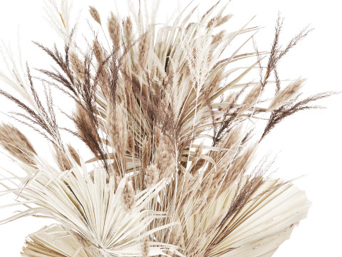 Bouquet Dried Flowers From White Pampas Branches vase 555 Modelo 3D