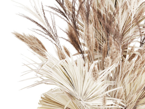 Bouquet Dried Flowers From White Pampas Branches vase 555 Modelo 3D