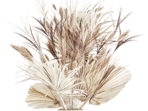 Bouquet Dried Flowers From White Pampas Branches vase 555 Modelo 3D
