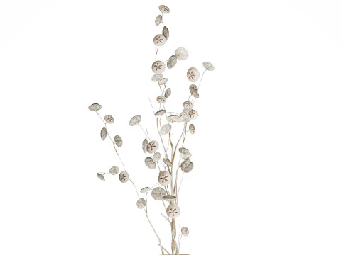 Bouquet de fleurs s&eacute;ch&eacute;es de branches d'eucalyptus blanc vase 556 Modèle 3D
