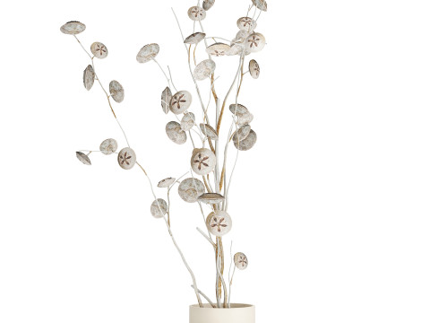Bouquet of dried flowers from white eucalyptus branches vase 556 3D 模型