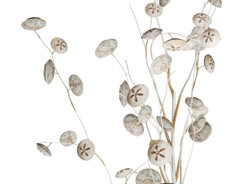 Bouquet de fleurs s&eacute;ch&eacute;es de branches d'eucalyptus blanc vase 556 Modèle 3D