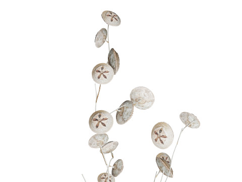Bouquet of dried flowers from white eucalyptus branches vase 556 3D 模型