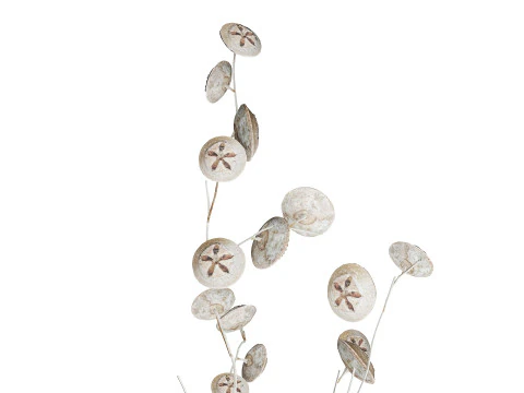 Bouquet de fleurs s&eacute;ch&eacute;es de branches d'eucalyptus blanc vase 556 Modèle 3D