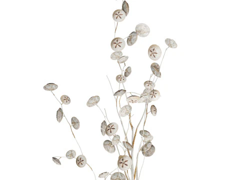 Bouquet de fleurs s&eacute;ch&eacute;es de branches d'eucalyptus blanc vase 556 Modèle 3D