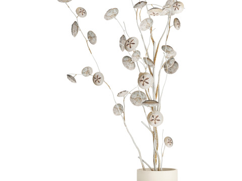 Bouquet of dried flowers from white eucalyptus branches vase 556 3D 模型