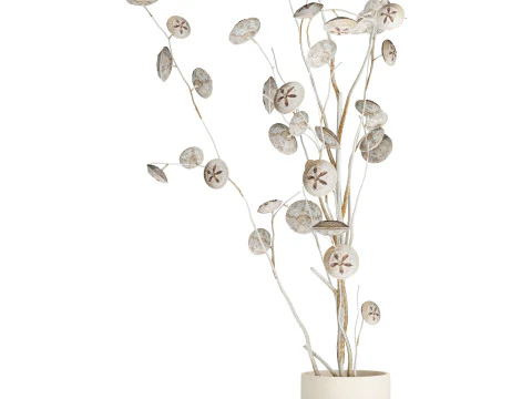 Bouquet de fleurs s&eacute;ch&eacute;es de branches d'eucalyptus blanc vase 556 Modèle 3D