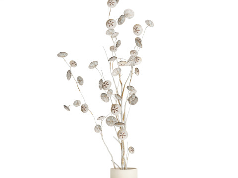 Bouquet of dried flowers from white eucalyptus branches vase 556 3D 模型