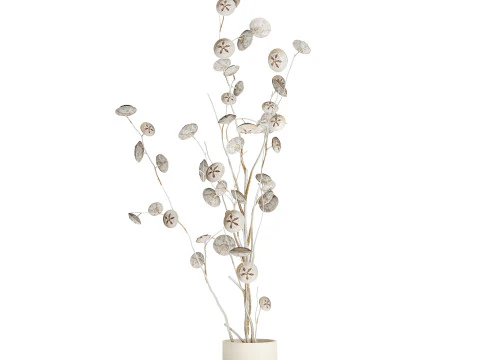 Bouquet de fleurs s&eacute;ch&eacute;es de branches d'eucalyptus blanc vase 556 Modèle 3D